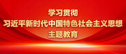 暴操大胸美女学习贯彻习近平新时代中国特色社会主义思想主题教育_fororder_ad-371X160(2)